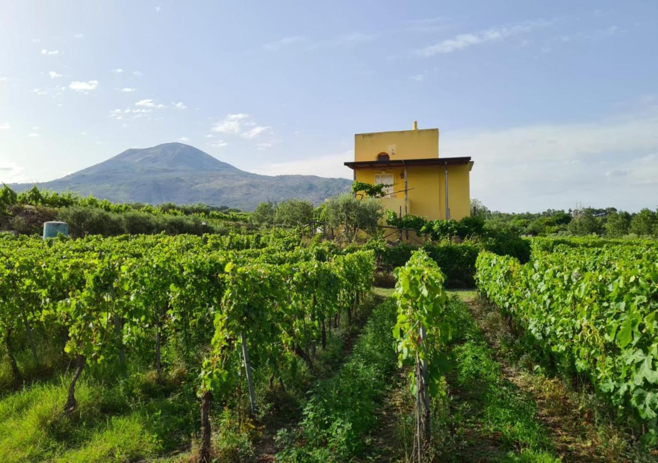 Vesuvio Inn Guest House E Wine Experience Boscotrecase 外观 照片