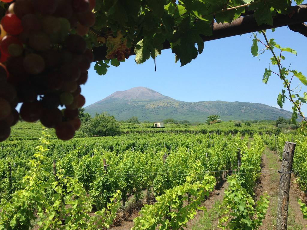 Vesuvio Inn Guest House E Wine Experience Boscotrecase 外观 照片